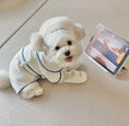 Load image into Gallery viewer, Pet Hotel Style Bathrobe - WizzPaw