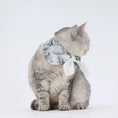 Load image into Gallery viewer, Pet Ink-Dyed Reversible Bow - WizzPaw