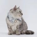 Load image into Gallery viewer, Pet Ink-Dyed Shirt Collar - WizzPaw