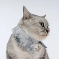 Load image into Gallery viewer, Pet Ink-Dyed Shirt Collar - WizzPaw
