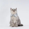 Load image into Gallery viewer, Pet Ink-Dyed Shirt Collar - WizzPaw