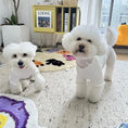 Load image into Gallery viewer, Pet Knitted Base Layer Sweater - WizzPaw