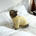 Load image into Gallery viewer, Pet Knitted Base Layer Turtleneck - WizzPaw