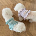 Load image into Gallery viewer, Pet Lace Trim Tank Dress - WizzPaw