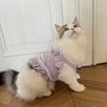 Load image into Gallery viewer, Pet Lace Trim Tank Dress - WizzPaw