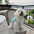 Load image into Gallery viewer, Pet Lace Trim Tank Dress - WizzPaw