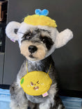 Load image into Gallery viewer, Pet Lemon Bandana - WizzPaw