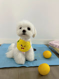 Load image into Gallery viewer, Pet Lemon Bandana - WizzPaw