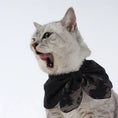 Load image into Gallery viewer, Pet Linen Reversible Bow - WizzPaw