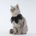 Load image into Gallery viewer, Pet Linen Reversible Bow - WizzPaw