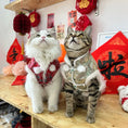 Load image into Gallery viewer, Pet New Year Tang Suit - WizzPaw