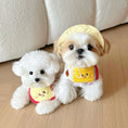 Load image into Gallery viewer, Pet Pencil Bandana - WizzPaw