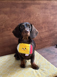 Load image into Gallery viewer, Pet Pencil Bandana - WizzPaw