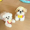 Load image into Gallery viewer, Pet Pencil Bandana - WizzPaw