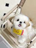 Load image into Gallery viewer, Pet Pencil Bandana - WizzPaw