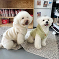 Load image into Gallery viewer, Pet Plush Hooded Jacket - WizzPaw