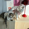 Load image into Gallery viewer, Pet Plush Hooded Jacket - WizzPaw
