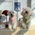 Load image into Gallery viewer, Pet Plush Hooded Jacket - WizzPaw