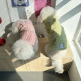 Load image into Gallery viewer, Pet Plush Hooded Jacket - WizzPaw
