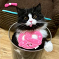 Load image into Gallery viewer, Pet Pretzel Bandana-Pink - WizzPaw