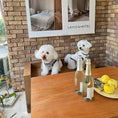 Load image into Gallery viewer, Pet Printed Striped Vest - WizzPaw