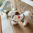 Load image into Gallery viewer, Pet Printed Striped Vest - WizzPaw