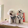 Load image into Gallery viewer, Pet Printed Striped Vest - WizzPaw