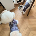 Load image into Gallery viewer, Pet Printed T-Shirt - WizzPaw