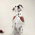 Load image into Gallery viewer, Pet Red Plaid Double-Layered Fleece Lined Outfit and Cape - WizzPaw