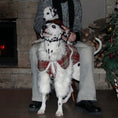 Load image into Gallery viewer, Pet Red Plaid Double-Layered Fleece Lined Outfit and Cape - WizzPaw