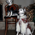Load image into Gallery viewer, Pet Red Plaid Double-Layered Fleece Lined Outfit and Cape - WizzPaw