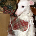 Load image into Gallery viewer, Pet Red Plaid Double-Layered Fleece Lined Outfit and Cape - WizzPaw