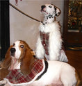Load image into Gallery viewer, Pet Red Plaid Double-Layered Fleece Lined Outfit and Cape - WizzPaw