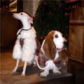 Load image into Gallery viewer, Pet Red Plaid Double-Layered Fleece Lined Outfit and Cape - WizzPaw