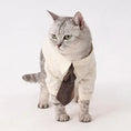 Load image into Gallery viewer, Pet Retro Brown Tie - WizzPaw