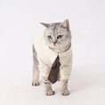 Load image into Gallery viewer, Pet Retro Brown Tie - WizzPaw