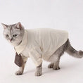 Load image into Gallery viewer, Pet Retro Brown Tie - WizzPaw