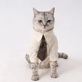 Load image into Gallery viewer, Pet Retro Brown Tie - WizzPaw