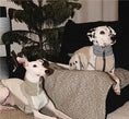 Load image into Gallery viewer, Pet Retro Cooling Lightweight Vest - WizzPaw