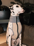 Load image into Gallery viewer, Pet Retro Cooling Lightweight Vest - WizzPaw