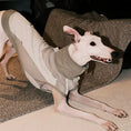 Load image into Gallery viewer, Pet Retro Cooling Lightweight Vest - WizzPaw