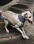Load image into Gallery viewer, Pet Retro Cooling Lightweight Vest - WizzPaw