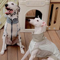 Load image into Gallery viewer, Pet Retro Cooling Lightweight Vest - WizzPaw