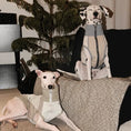 Load image into Gallery viewer, Pet Retro Cooling Lightweight Vest - WizzPaw