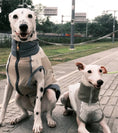 Load image into Gallery viewer, Pet Retro Cooling Lightweight Vest - WizzPaw