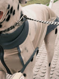 Load image into Gallery viewer, Pet Retro Cooling Lightweight Vest - WizzPaw
