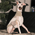 Load image into Gallery viewer, Pet Retro Cooling Lightweight Vest - WizzPaw