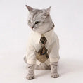 Load image into Gallery viewer, Pet Retro Crane Tie - WizzPaw