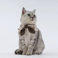 Load image into Gallery viewer, Pet Retro Dyed Reversible Bow - WizzPaw