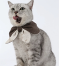 Load image into Gallery viewer, Pet Retro Dyed Reversible Bow - WizzPaw